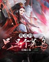 我真的只是个兽医全集